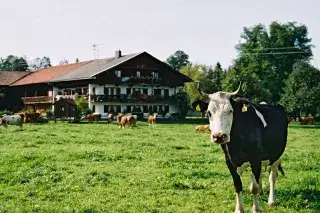 Bild zum M-Wasserweg für Fahrradfahrer.