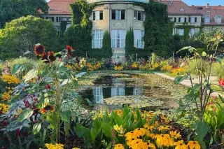 Botanischer Garten im Sommer