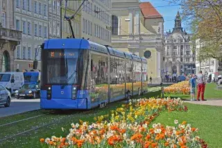 Tram 19 am Promenadeplatz im Frühling