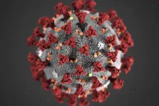 Eine Visualisierung des Corona-Virus in der Mikroskop-Ansicht