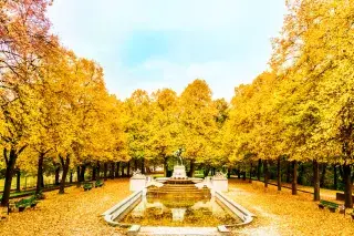 Vater-Rhein-Brunnen