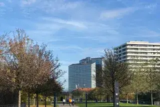 Petuelpark im Herbst Petuelpark im Herbst