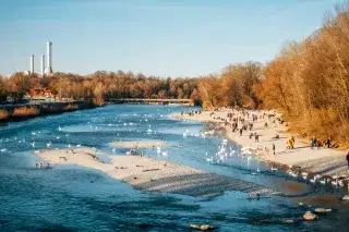 Die Isar in Thalkirchen Die Isar in Thalkirchen