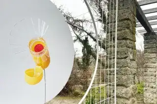 Aus der Ausstellung „Die Natur der Sache“ von Juli Gudehus im Botanischen Garten Aus der Ausstellung „Die Natur der Sache“ von Juli Gudehus im Botanischen Garten