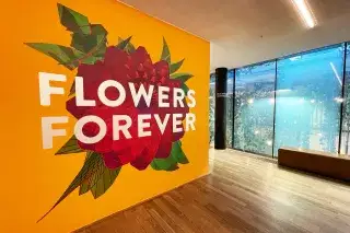 Flower Power Festival in der Kunsthalle