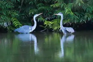 Das Siegerbild des siebenjährigen Sasha Jumanca aus dem Fotowettbewerb „Natur im Fokus“ (2021) Das Siegerbild des siebenjährigen Sasha Jumanca aus dem Fotowettbewerb „Natur im Fokus“ (2021)