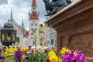 Frühlingsblumen am Marienplatz. Frühlingsblumen am Marienplatz.