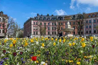 neuschwanstein day tour from munich