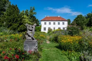 Rosengarten im Sommer