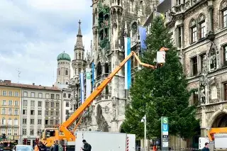 Christbaum München Marienplatz 2023 Christbaum München Marienplatz 2023