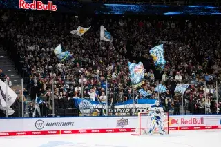 Fans des EHC Red Bull München im SAP Garden Fans des EHC Red Bull München im SAP Garden