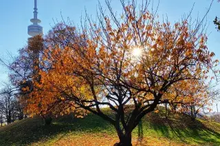Olympiapark Herbst