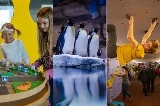 Kindermuseum, Pinguine in Hellabrunn, Bouldern