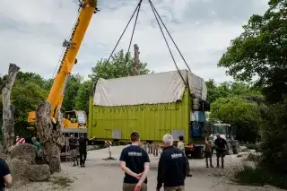 Neue Elefanten in Hellabrunn kommen in Container an Neue Elefanten in Hellabrunn kommen in Container an