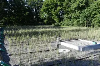 Regenerationsbereich für die Wiederaufbereitung im Bad Georgenschwaige Regenerationsbereich für die Wiederaufbereitung im Bad Georgenschwaige