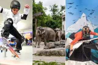 Pfingstferien-Collage