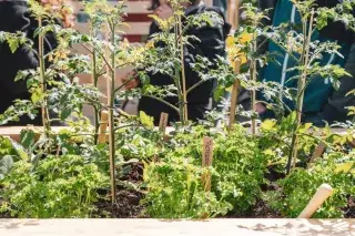 Garten