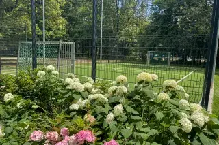 Kleinspielfeld im Alten Botanischen Garten Kleinspielfeld im Alten Botanischen Garten