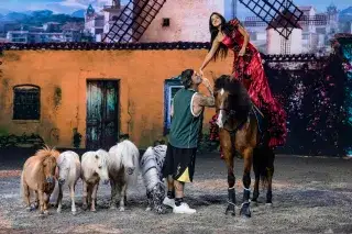Cavalluna-Ponys