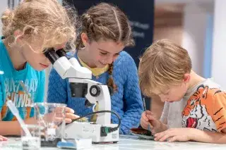 Drei Kinder beim Mikroskopieren im Biotopia Lab Drei Kinder beim Mikroskopieren im Biotopia Lab
