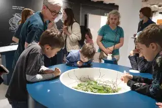 Kinder bei einem Kurz-Workshop im Biotopia Lab Kinder bei einem Kurz-Workshop im Biotopia Lab