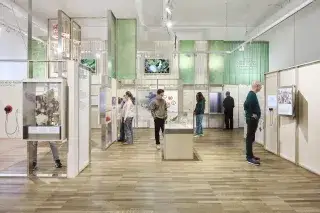 Menschen im Museum