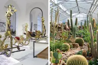 Marstall/Botanischer Garten