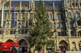 Der Münchner Christbaum 2025