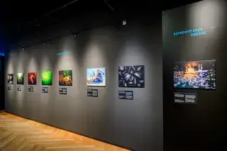 Eindrücke aus der Ausstellung Wildlife Photographer of the Year