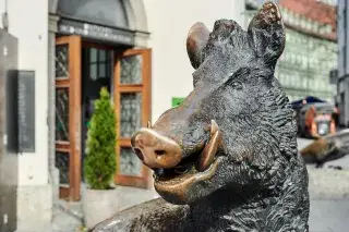 Wildschwein vor dem Jagd- und Fischereimuseum