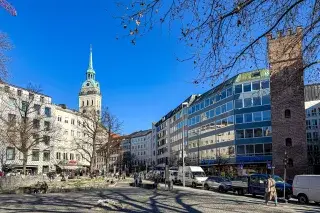 Rindermarkt im Frühling