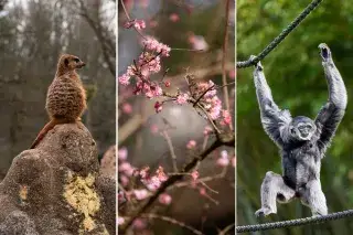 Frühlingserwachen in Hellabrunn
