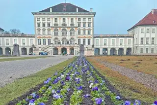 Frühlingsblumen im Schlosspark Nymphenburg
