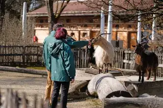 Streichelanlage im Mühlendorf