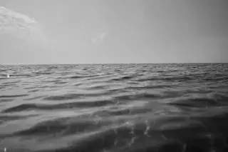 Meer