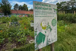 Garten in der Baumschule Bischweiler