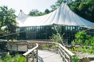 Dschungelwelt