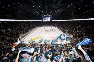 Fans von Red Bull München im SAP Garden
