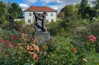 Rosengarten im Herbst