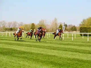 Galopp-Rennen auf der Rennbahn in Riem