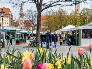Viktualienmarkt im Frühling