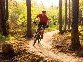 Mit dem Mountainbike durch den Wald