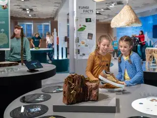 Kinder im Biotopia Lab
