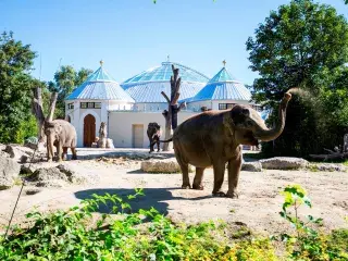 Das fertig gestellte Elefantenhaus im Tierpark Hellabrunn