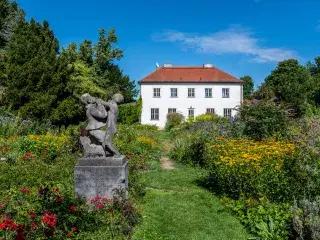 Rosengarten im Sommer