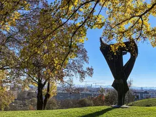 Sonniger Herbsttag am Olympiaberg bei der Schuttblume