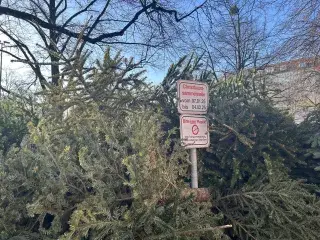 Christbaum-Sammelstelle in München