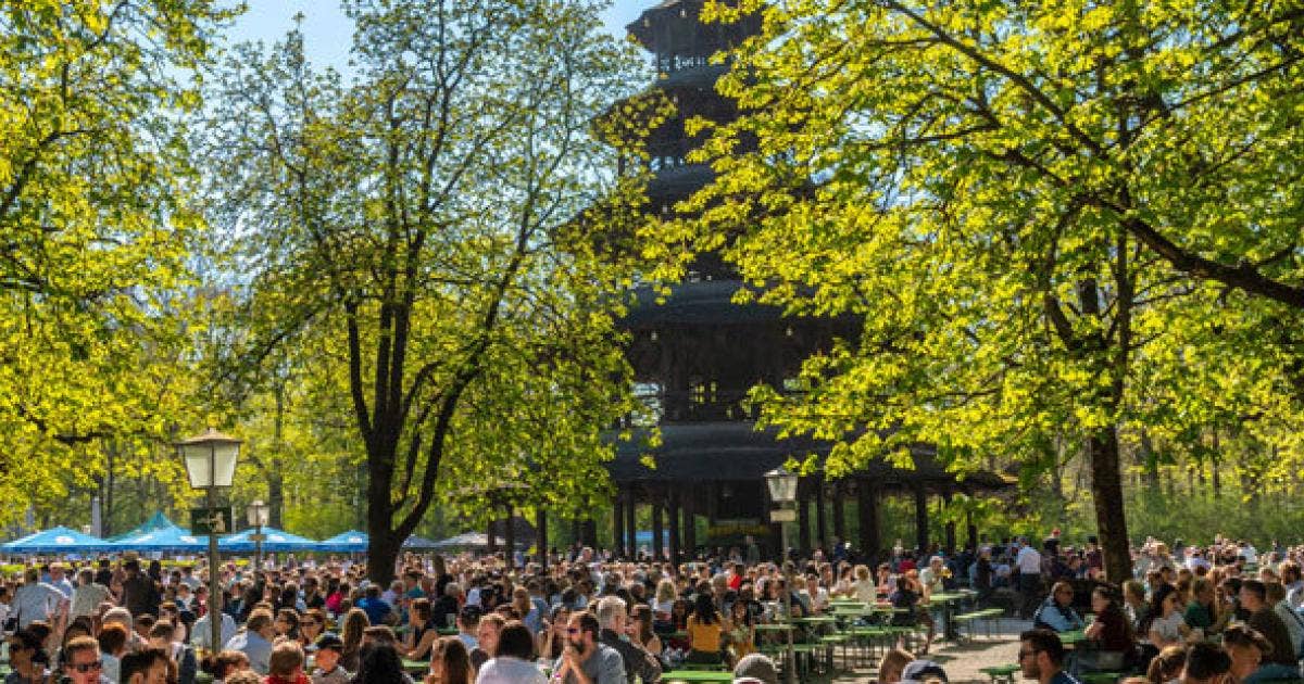 Best Beer Gardens in Munich: Discover Top Picks