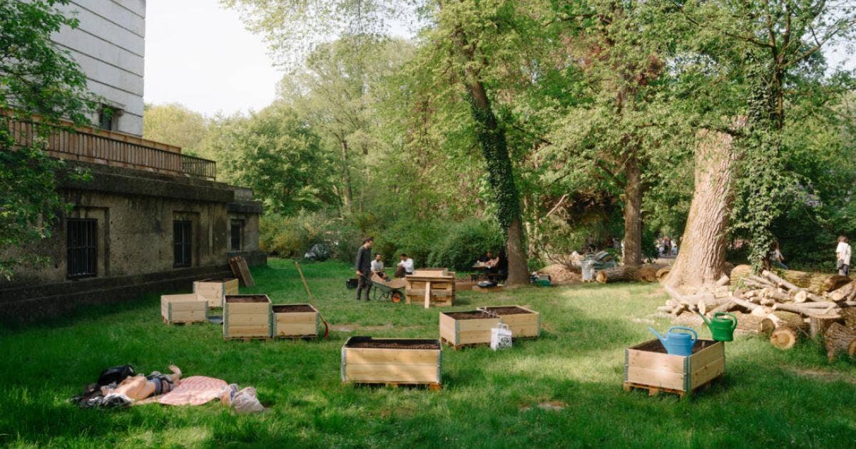 Open Garden in the Ostwiese Community Garden