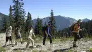 Wandern in den Bergen
